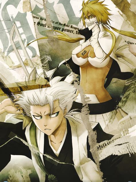 Hitsugaya vs. Hallibel - Bleach Anime Photo (15083030) - Fanpop