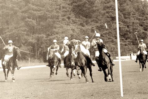 Wenham Museum Equine History