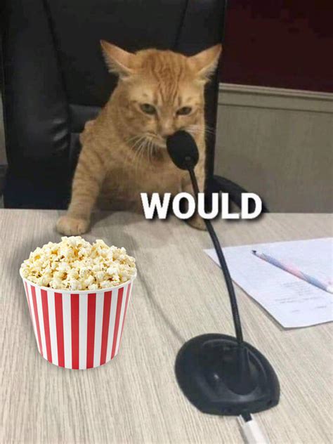 Would Popcorn Microphone Cat | "Would" Reaction Images | Know Your Meme