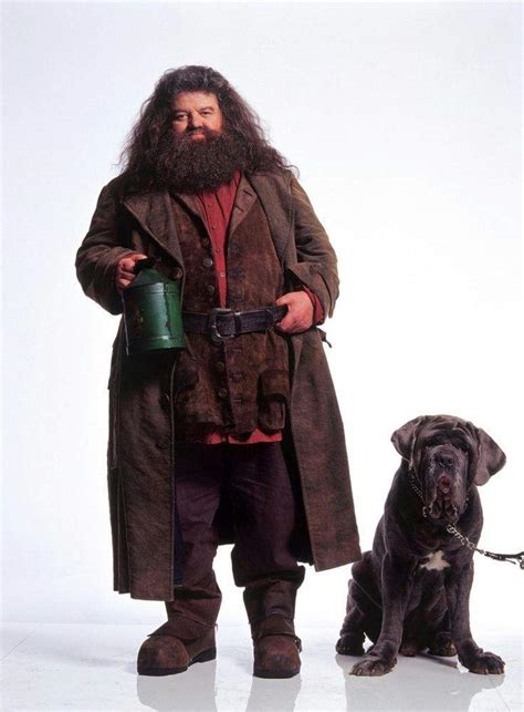 Which of these Hagrid's Pet is your favorite? | Harry Potter Amino