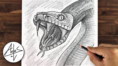 How To Draw A Snake | Sketch Tutorial - YouTube