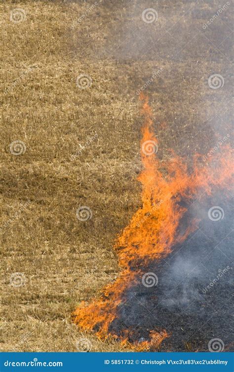 Fire on a field stock photo. Image of ground, smoke, fire - 5851732