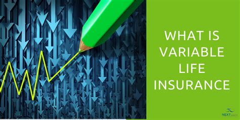 What is Variable Life Insurance