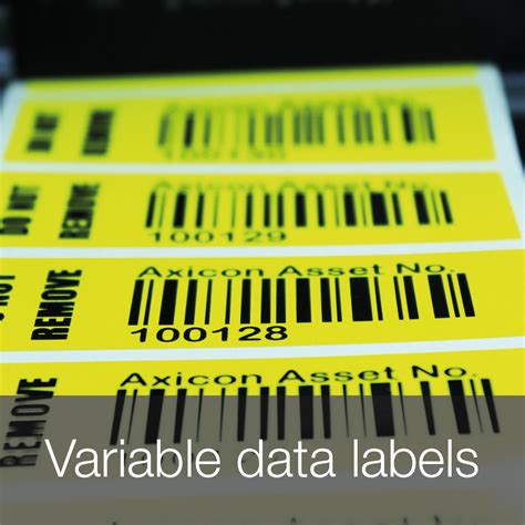 Variable data labels - Axicon Labels