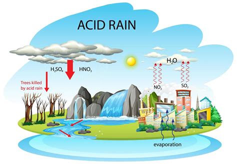 Diagram showing acid rain pathway on white background 1432761 Vector ...