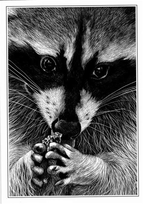 Scratchboard Art Animals / Attitude by EeyoresDarkSide.deviantart.com ...