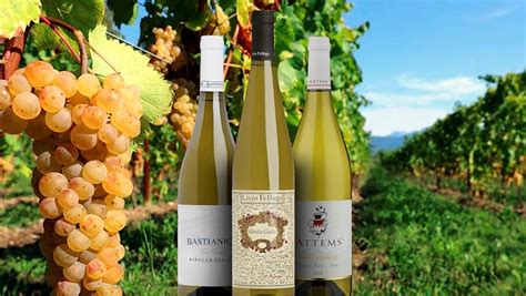 50 Most Popular White Wines in the World - TasteAtlas