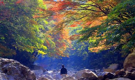 Jeju autumn itinerary — 6 best places to visit & top things to do in Jeju autumn foliage season ...