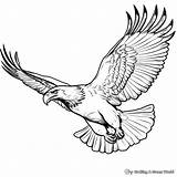 Soar With Creativity Coloring Page Of Eagle sketch template