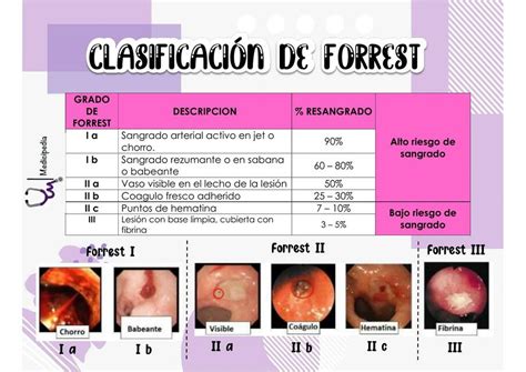 Clasificación Forrest | Medicipedia | uDocz🕧 Jogue slots que oferecem dinheiro real com pix