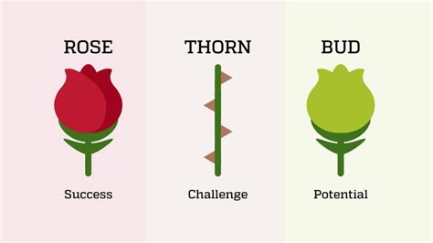 Rose Bud Thorn Worksheet