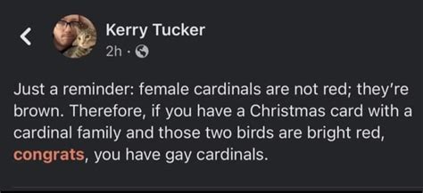 The Cardinal Rule : r/196