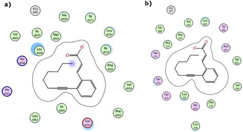 2D-ligand protein interaction diagram. (a) Binding site of interaction ...