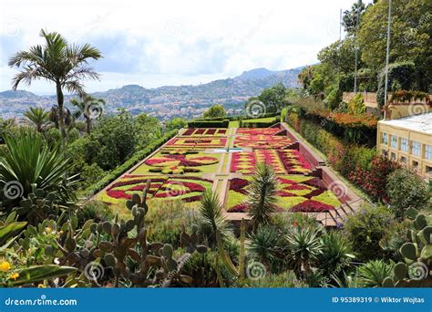 Madeira Botanical Garden stock image. Image of flower - 95389319