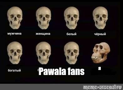 Сomics meme: "Pawala fans" - Comics - Meme-arsenal.com