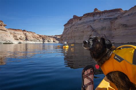 Lake Powell Campgrounds: Decent, Better Best - Drivin' & Vibin'