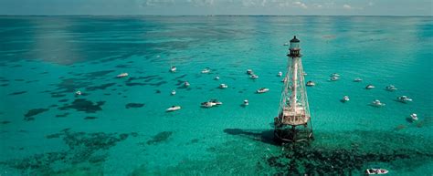 #1 Best Snorkeling in Islamorada, Florida Keys - Robbie's