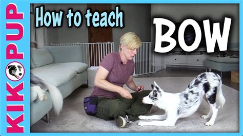 How to teach BOW - Dog Tricks tutorial - K9 Pie