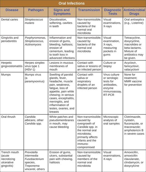 24.2 Microbial Diseases of the Mouth and Oral Cavity - Microbiology | OpenStax | Microbiology ...