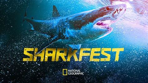 National Geographic's SharkFest 2021 Is Now Playing | ABC Updates