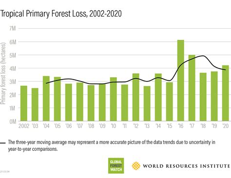 What Happened to Global Forests in 2020? | Global Forest Watch Blog