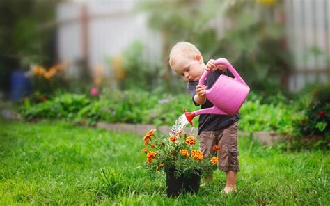 Top Four Ways to Get Your Garden Ready For Growing Season