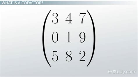 Cofactor Matrix | Definition, Calculation & Use - Lesson | Study.com