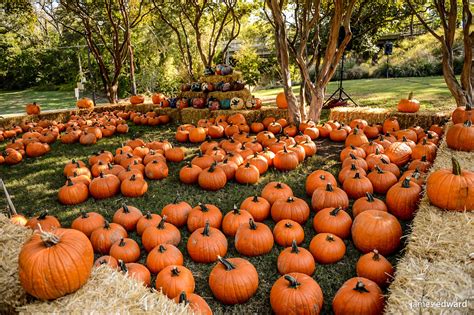 Dallas Event: Pumpkins in the Park - My Crazy Savings