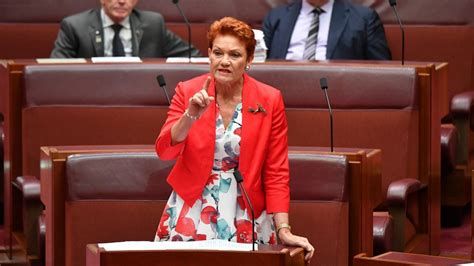 Pauline Hanson Fires Up Against Albanese Over Murray-Darling Basin Water Changes - newspopau