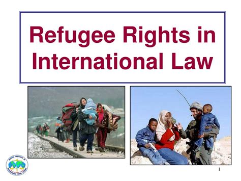 PPT - Refugee Rights in International Law PowerPoint Presentation, free ...