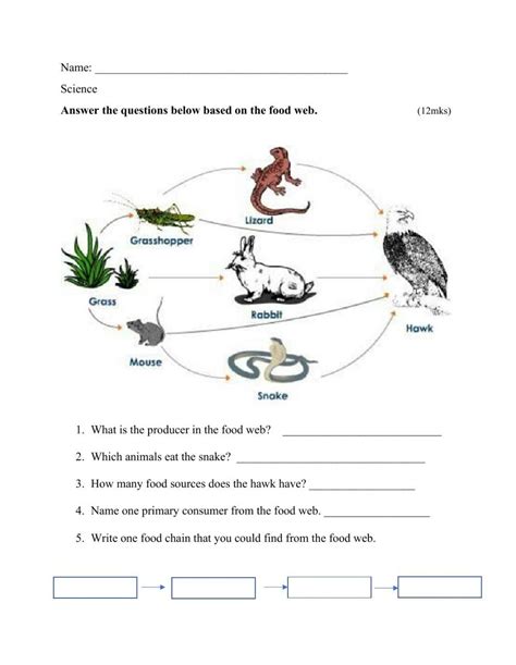 Bill Nye Food Web Worksheet | Food chain worksheet, Food web worksheet ...