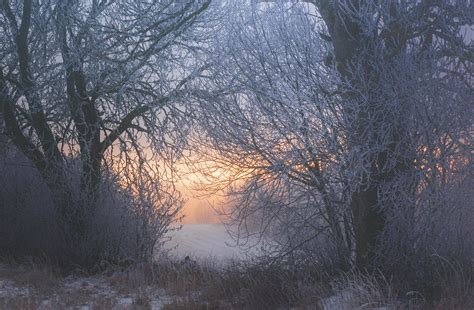 Winter landscape, south west Sweden [oc] : r/winterporn