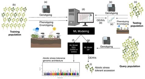 Genes | Free Full-Text | Harnessing Crop Wild Diversity for Climate Change Adaptation