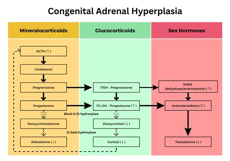 Congenital adrenal hyperplasia - Don't Forget the Bubbles