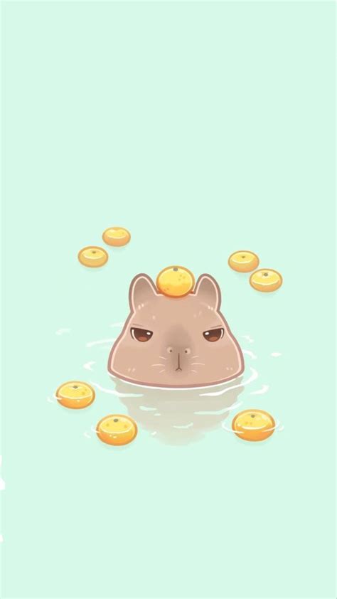 Capybara + oranges background | Meerschweinchen lustig, Niedliche ...