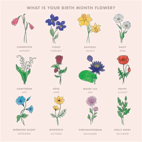 What Is Your Birth Flower?