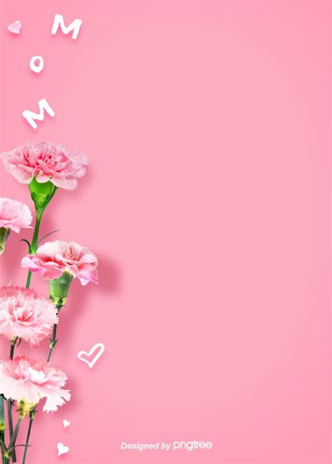 Background Of Mothers Day With Simple Pink Carnation Flowers Wallpaper Image For Free Download ...