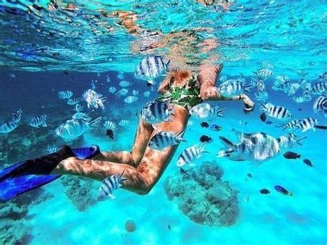 Snorkeling In Zanzibar From TourXplorer: Call Us Now