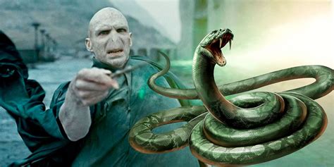 How Did Voldemort Get Nagini?