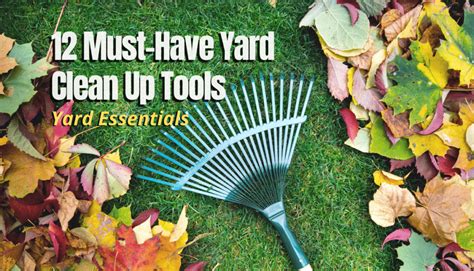 12 Must-Have Yard Clean Up Tools | Yard Essentials - The Backyard Pros