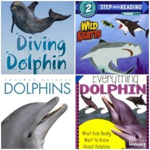 Dolphin Books for Kids to Read - Look! We're Learning!