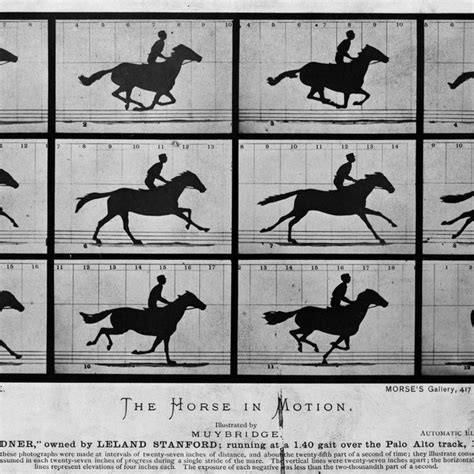 The horse in motion by Eadweard Muybridge, 1878 (Public Domain ...