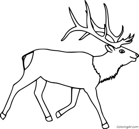 21 free printable Elk coloring pages in vector format, easy to print ...