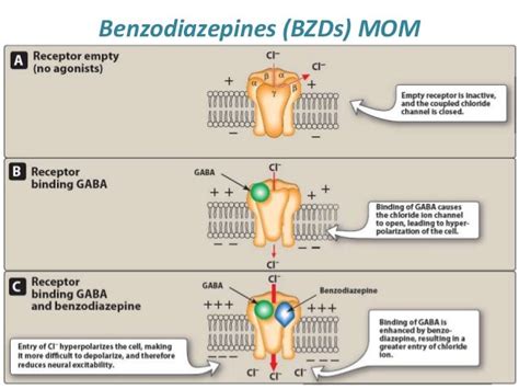 “The Next U.S. Drug Crisis”: Benzodiazepines – The Calculating Mind