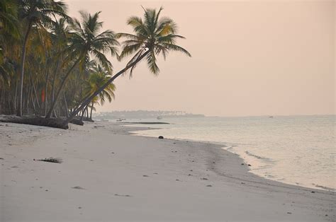 2560x1600px | free download | HD wallpaper: beach, india, lakshadweep ...