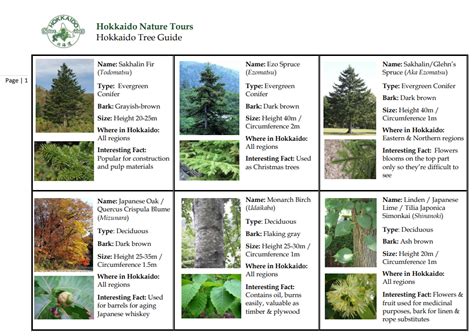 HNT Blog - Hokkaido Nature Tours