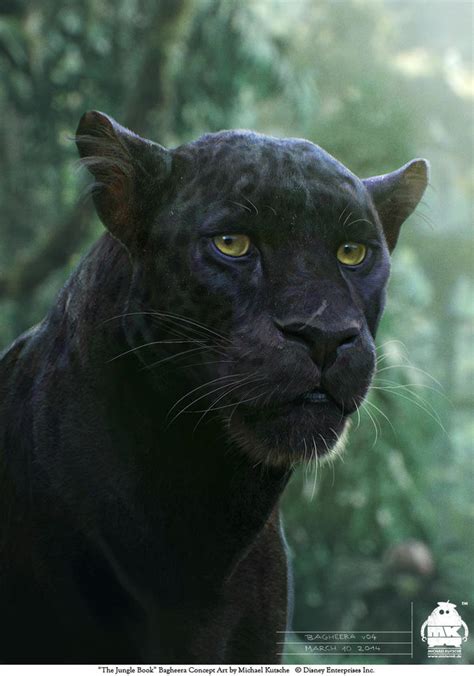 The Jungle Book: Bagheera concept by michaelkutsche on DeviantArt