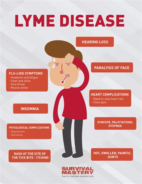 Lyme Disease: Symptoms, Tests, Treatment And Prevention