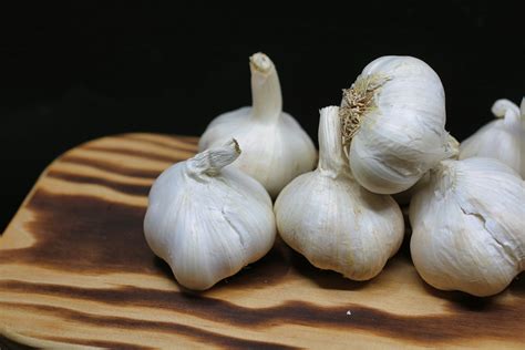 Garlic Powerfully Lowers High Blood Pressure - Golden Health Method