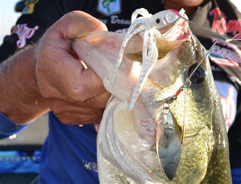 Bass action heats up during shad spawn on Alabama lakes - al.com